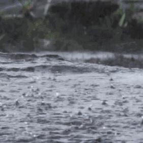 今年华北地区雨量预测（华北今年降雨量）