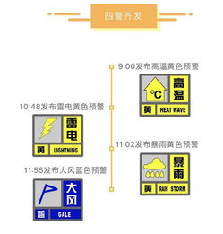 上海精准天气10天（上海10天天气趋势图）