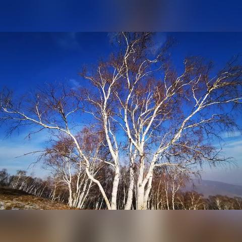 合肥天气（合肥天气预报15天准确一览表）