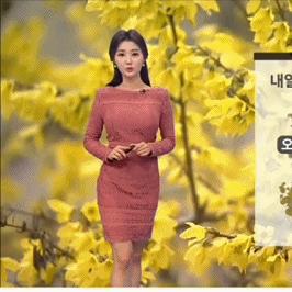 北京明天天气预报（北京明天天气预报详细）