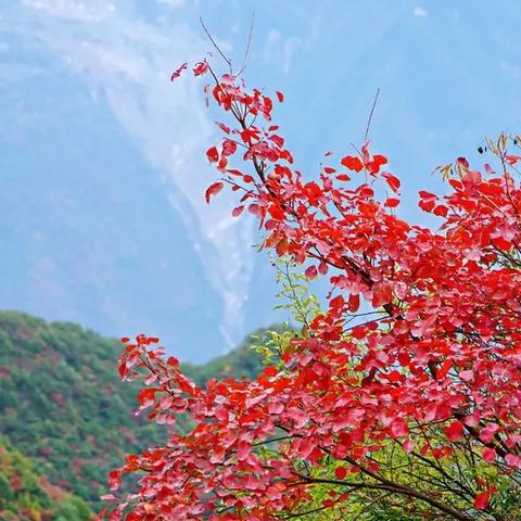 贵州未来30天天气预报（贵州旅游天气预报15天查询）