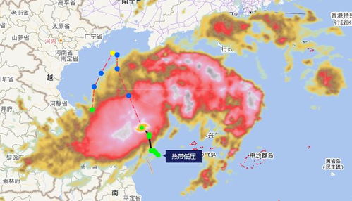 2023最新台风消息(202123号台风) 2023最新台风消息(202123号台风)