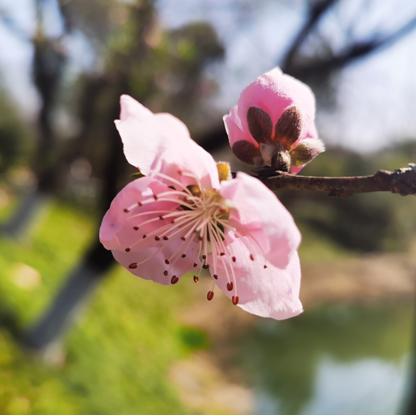 3月20日杭州天气（杭州天气3月25日到3月30日天气）